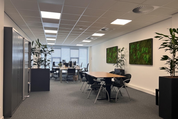 Dobbeweteringstraat 9 Rotterdam - Dobbeweteringstraat 9, Rotterdam