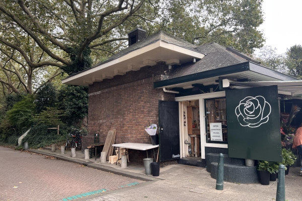 Schiebroekselaan 81B Rotterdam - Schiebroekselaan 81B, Rotterdam