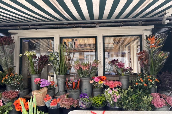 Schiebroekselaan 81B Rotterdam - Schiebroekselaan 81B, Rotterdam