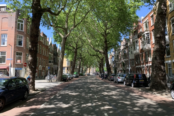 Rodenrijselaan 33a Rotterdam - Rodenrijselaan 33a, Rotterdam