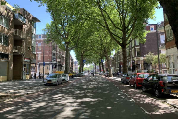 Rodenrijselaan 33a Rotterdam - Rodenrijselaan 33a, Rotterdam